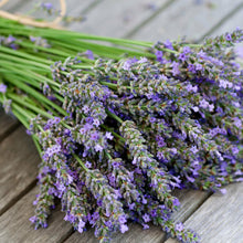 Load image into Gallery viewer, Lavender Fields
